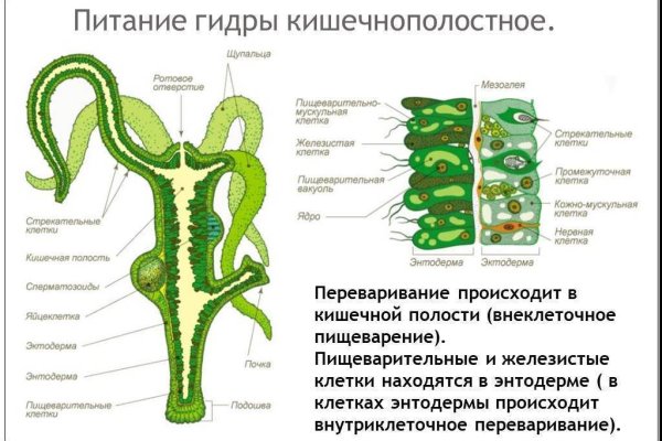 Кракен ссылка 2025