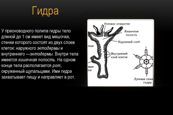 Гидра зайти кракен